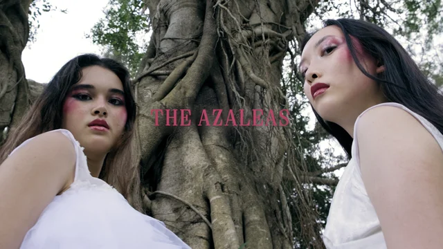 Azaleas Fashion Show Promotion